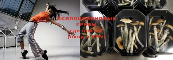 apvp Надым
