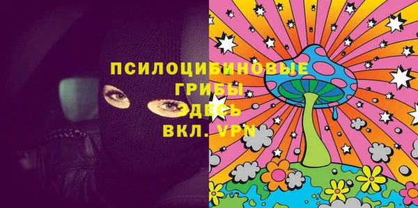 apvp Надым